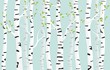 Birch forest background. Spring birch green young leaves spotty bark on tree black vector spots white trunk, romantic seasonal park april grove background revived spring.