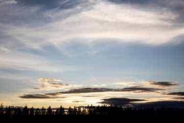 beautiful landscape evening sky with white and gray clouds