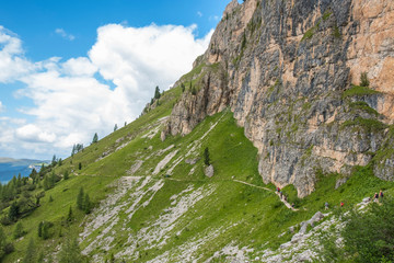 Wall Mural - hiking trail on a mountain side