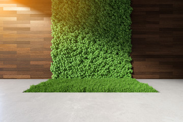 Wall Mural - Generic 3D illustration of vertical garden and wooden wall with modern concrete floor, cement floor with wood wall with green grass field