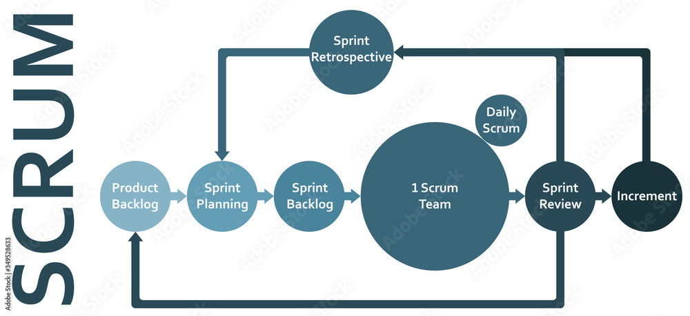 Scrum framework development process diagram, software developers ...