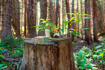 Poster - tree in the garden