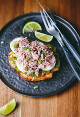 Wall Mural - Open sandwich with canned tuna, egg and pickled cucumber dressing served with lime.