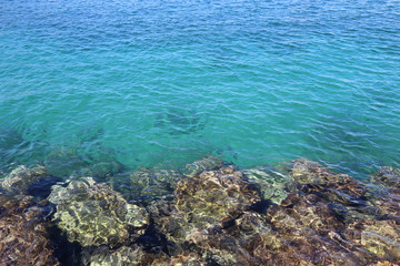 Wall Mural - Bright turquoise sea water and stones near the shore