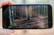 Fotografia lasu w telefonie komórkowym.