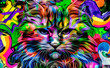 Cat head colorful illustration 