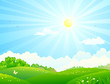 Vector cartoon illustration of green fields and sunny sky