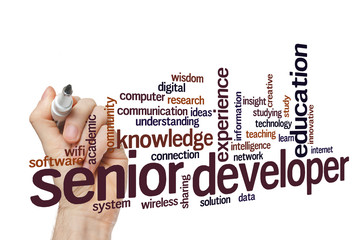 Senior developer word cloud concept