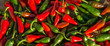 © rozaivn58 - Large crop of red and green hot chili peppers