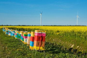 Ecological landscape, wind farm, rape field and colorful hives.