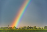 Fototapeta Tęcza - beautiful rainbow over the field