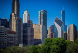 Fototapeta  - Downtown Chicago as seen from Grant park in the morning