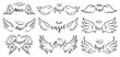 Wings hand drawn lettering. Doodle elegant angel wings phrases, sketched flight feather, winged angel wings and lettering vector illustration set. Sketched lettering, angelic tattoo contour