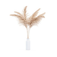 Pampas grass white vase