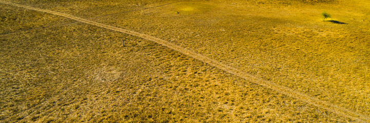 Loney landscape in the dry season depicting a dried-up grass field with a single tree in Africa, Botswana, Okavango Delta