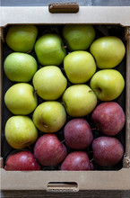 Different Kinds Of Green And Red Apples