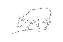 Cow On Pasture In Continuous Line Art Drawing Style. Grazing Cow Minimalist Black Linear Sketch Isolated On White Background. Vector Illustration