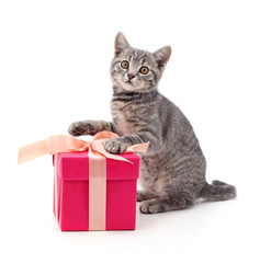 Poster - Kitten and gift.