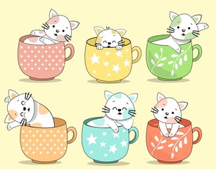 CAT IN A CUP 3