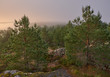 Summer landscape on a foggy morning on the high rocky shore of Lake Ladoga