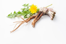 Young Fresh Dandelion Roots On A White Background