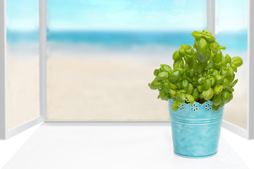 Hello spring concept. Compostion of fresh green basil herb in a blue metal pot on sunny kitchen windows sill with view on a abstract ocean background. Space for your design.