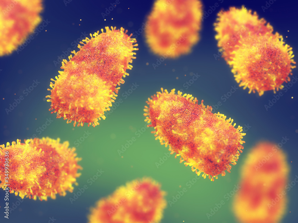 Rabies is a viral disease of the nervous system that causes deadly ...