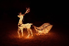 Illuminated Sledge And Reindeer