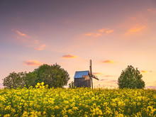 Beautiful Sunset Light On The Rapeseed Field And Old Wooden Wind Mill With Copy Space