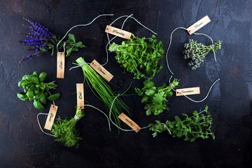 Wall Mural - Fresh herbs lay on a rustic background. Basil, flower sage, thyme, oregano, dill, chives, parsley and coriander.