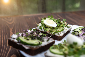 Wall Mural - sandwiches with microgreens, cucumber and quail eggs on a white plate. wooden background. a kind of sunny glare. healthy diet. feed option. young sprouts of radish and red cabbage