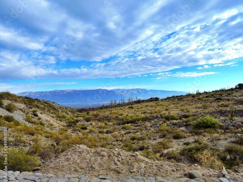 Fotomural LA PAZ NO TIENE PRECIO, MONTAÑA, NUBES, VEGETACIÓN, ARGENTINA