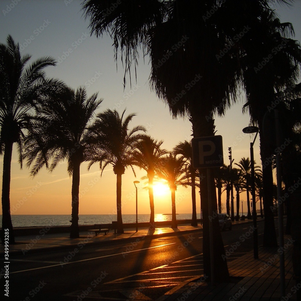Street Amidst Silhouette Palm Trees By Sea Against Sky During Sunset - obrazy, fototapety, plakaty 