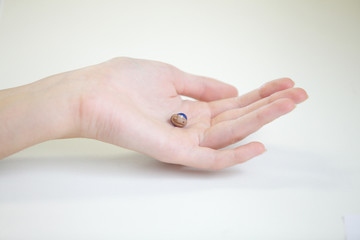 Wall Mural - Very small hearing aid in a female hand