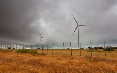 wind turbines in the field, power energy generator 