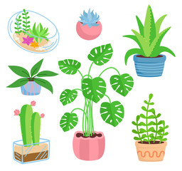 Wall Mural - House plant potted ceramic set, flat cartoon style. Succulents and house plants, cactus collection. Monstera and aloe. Growing green sprouts rising from pot. Isolated vector illustration