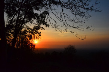 Beautiful silhouette of trees with sunset background