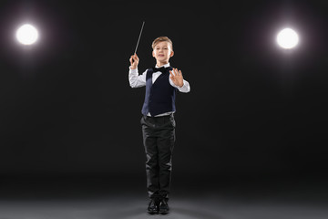 Wall Mural - Little conductor on dark background