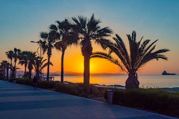 Wall Mural - Cyprus. Sunset on the waterfront of Limassol. Palm trees against the background of the sea and the setting sun. Evening walk along the promenade of Molos in Limassol. Vacation in the Mediterranean.