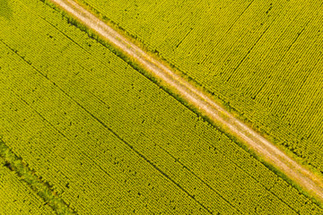 Canvas Print - aerial view of farm