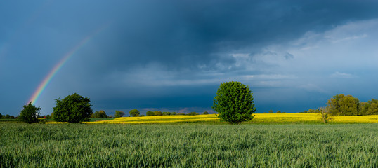 Wall Mural - colorful rainbow against the background of a dangerous, stormy sky over a rural landscape-panorama