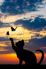 Wall Mural - illustration of cat at sunset