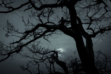 Wall Mural - Silhouette dead tree on dark dramatic sky and white clouds background for peaceful death. Despair and hopeless concept. Sad of nature. Death and sad emotion background. Dead branches unique pattern.