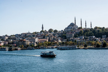 Wall Mural - Wiew of Suleymaniye mosque in Istanbul city