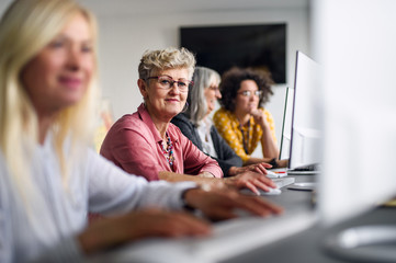 Group of senior people attending computer and technology education class.