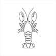 Hand drawn lobster logo. Vector doodle style illustration lobster isolated on white background. Healthy seafood. Design for restaurant menu, banner, print, card, invitation, coloring book
