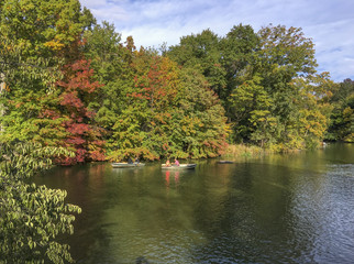 Poster - Amazing view of Central Park Lake in autumn, New York City