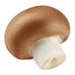 Wall Mural - champignon, mushroom, isolated on white background, clipping path, full depth of field