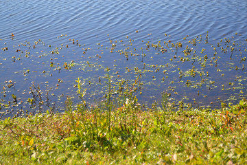 Poster - lake water blue Concepcion Chile