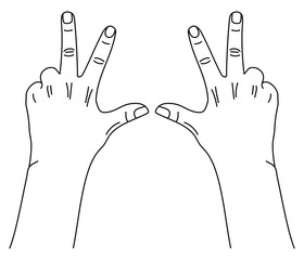 Wall Mural - left and right hands showing gesture of count three using thumb, index and middle fingers. vector il